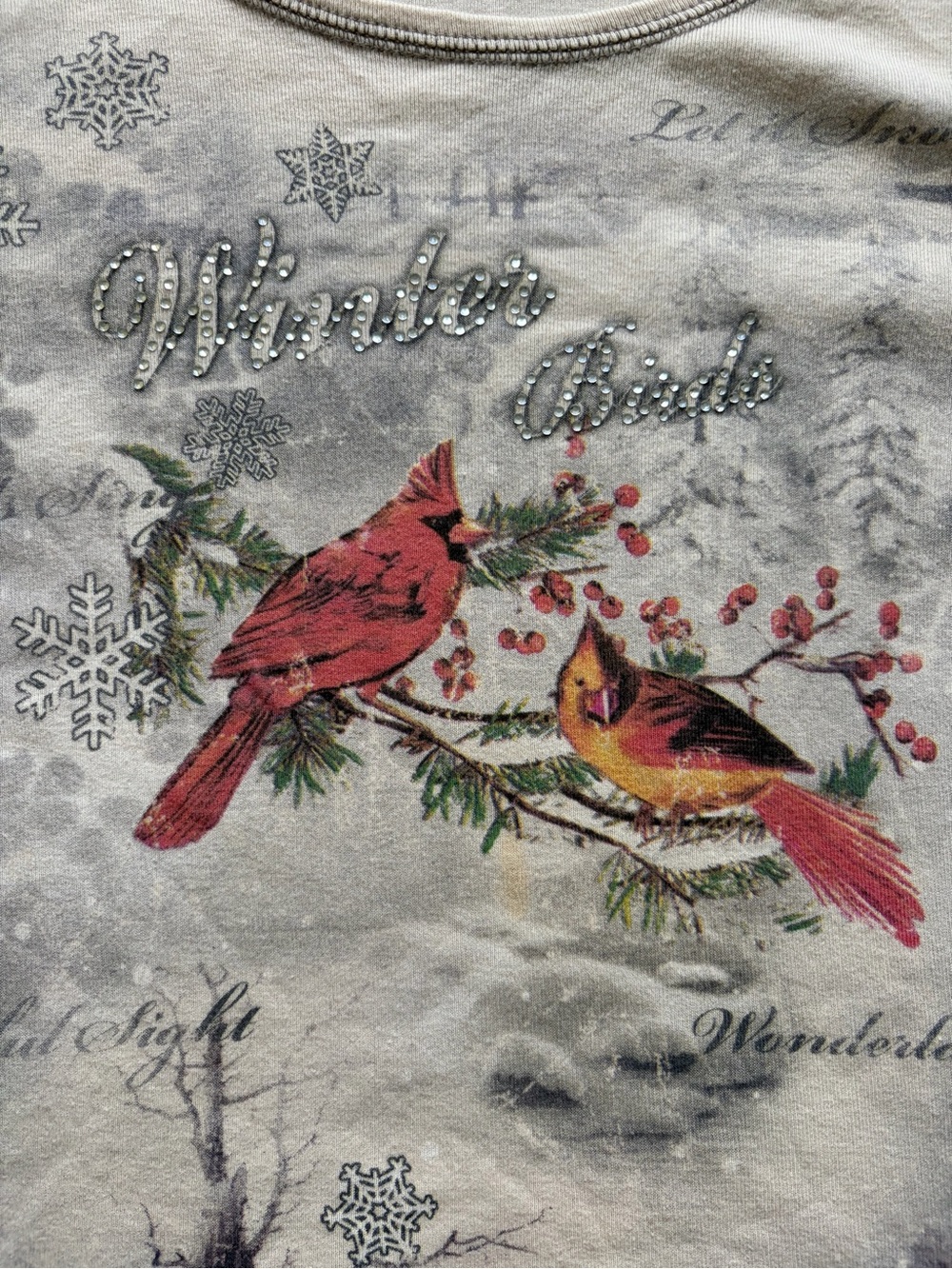 Winter Birds 3/4 Sleeve Rhinestone Y2K Tee - Cream/Gray with Cardinal Print